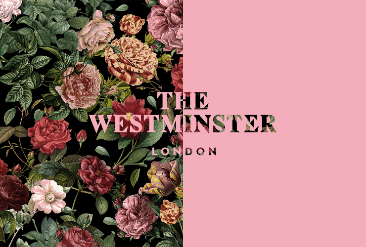 Westminster | Steve Edge Design