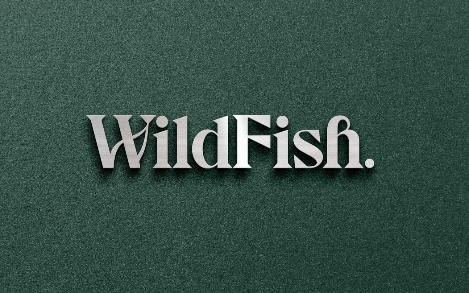 WildFish | Steve Edge Design