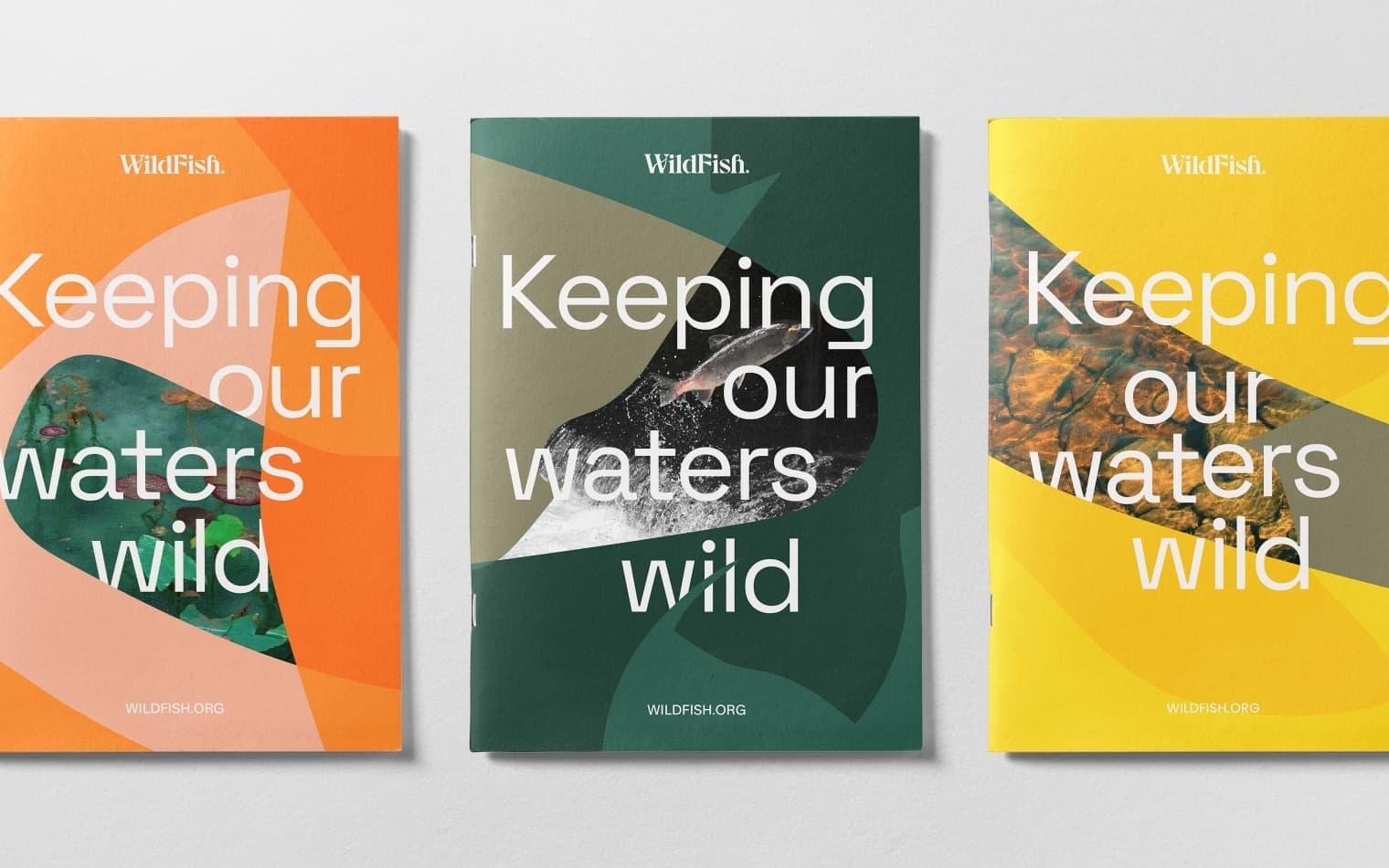 WildFish | Steve Edge Design