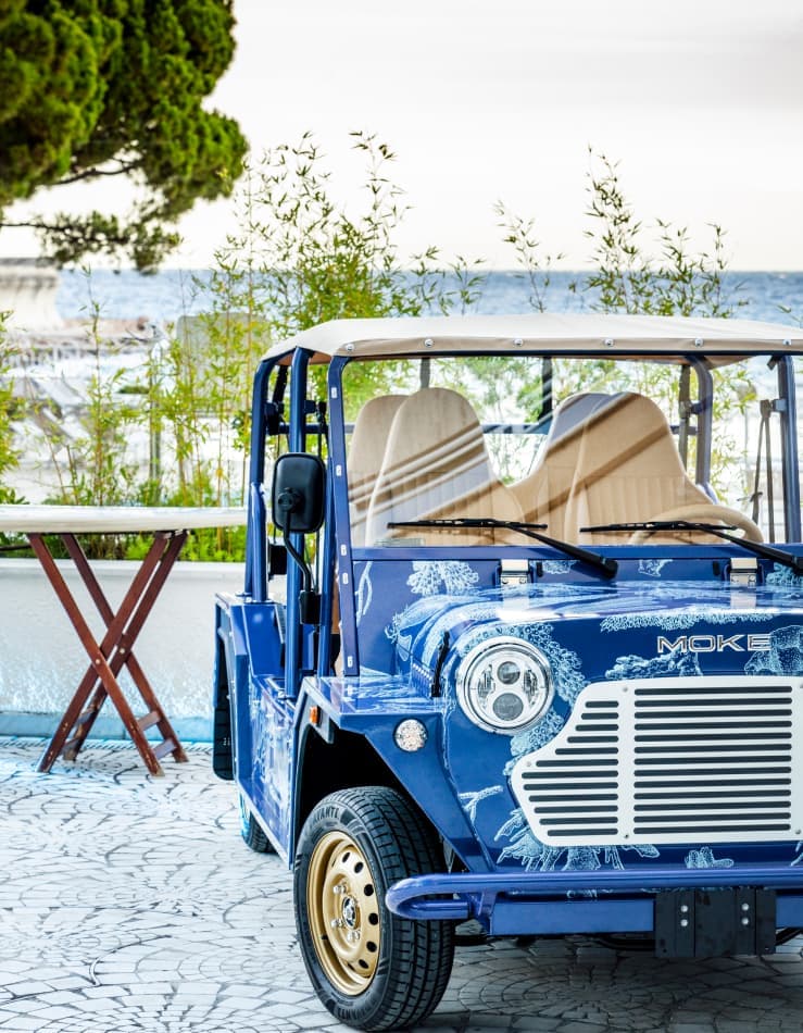 Blue Marine Foundation X Moke